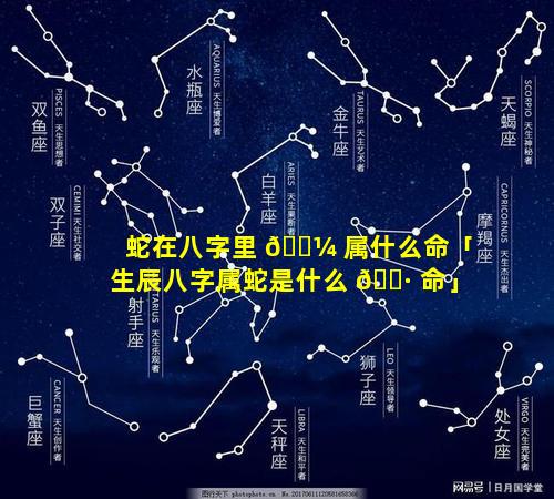 蛇在八字里 🐼 属什么命「生辰八字属蛇是什么 🌷 命」